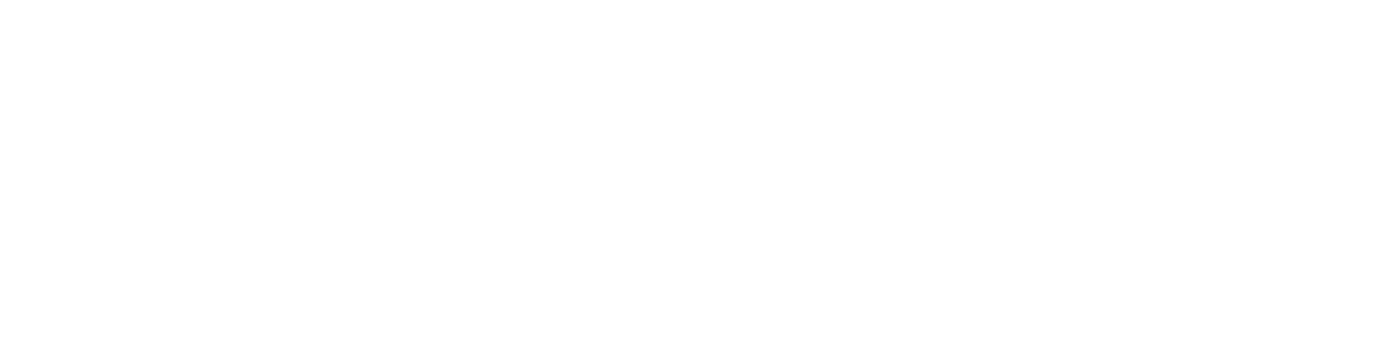 Daniel Transportes